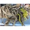 Image 2 : lot of ropes