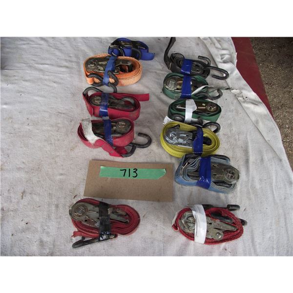 Assorted (1 Inch) ratchet straps (11) in total.