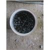Image 3 : bucket of bolts
