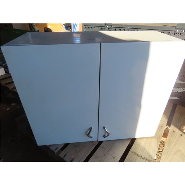 30Lx24T" cabinet with adjustable shelf