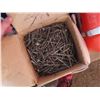 Image 1 : 50lbs of mixed nails