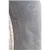 Image 4 : dodge chrome rim P265/70R17