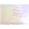 Image 5 : THOMAS KINKADE SIGNED "LAMPLIGHT MANOR" LIMITED