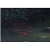 Image 6 : T. KINKADE "THE FOREST CHAPEL" SIGNED LIMITED
