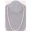 Image 1 : 18K WHITE GOLD PEARL DIAMOND LADIES NECKLACE