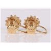 Image 2 : 14K YELLOW GOLD SAPPHIRE DIAMOND LADIES EARRINGS