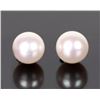Image 1 : 18K WHITE GOLD PEARL LADIES EARRINGS