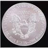 Image 3 : ONE ROLL 1 OZ FINE SILVER EAGLE 2016 W BULLION