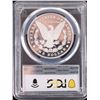 Image 3 : PCGS PF70 DCAM FIRST STRIKE PEACE & MORGAN DOLLARS