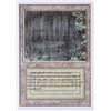 Image 1 : MAGIC THE GATHERING REVISED EDITION BAYOU