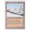 Image 1 : MAGIC THE GATHERING REVISED EDITION TAIGA