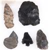 Image 3 : ANCIENT ASSORTED FOSSILIZED ANIMAL/PLANTS - (18)