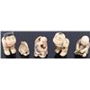 Image 1 : TAGUA NUT NETSUKE HAND CARVED - (5)