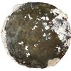 Image 1 : Shallow iron base or top with white coral encrustation, ex-Concepción (1641).