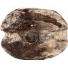 Image 4 : Massive wooden pulley with sheave intact, ex-pirate ship Golden Fleece (1686).