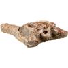 Image 3 : Fossilized crocodile skull, Cretaceous period, approx. 145 to 66 million years old, species Dyrosaur