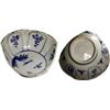 Image 1 : Chinese blue-on-white porcelain bowl fragment, Kangxi period, bird-on-leaf motif, ex-Concepción (164
