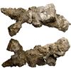 Image 1 : Heavily encrusted iron spike, ex-Guadalupe and Tolosa (1724).