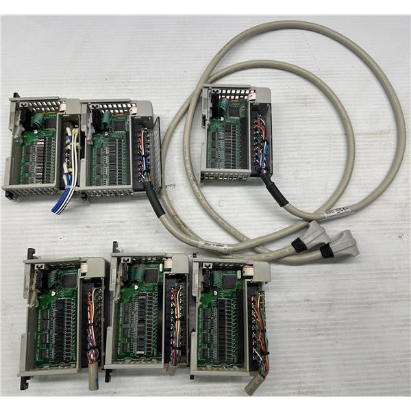 (6) Allen Bradley #1769-OV16/B Sinking Output Modules / 2 of these Items Still Have the Cable
