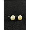 Image 2 : Nice Pair of Sterling Silver with Genuine Large Pearl Earrings in Black Box