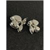 Image 2 : Vintage Pair of Clear Smoky & Borealis Stones Earrings