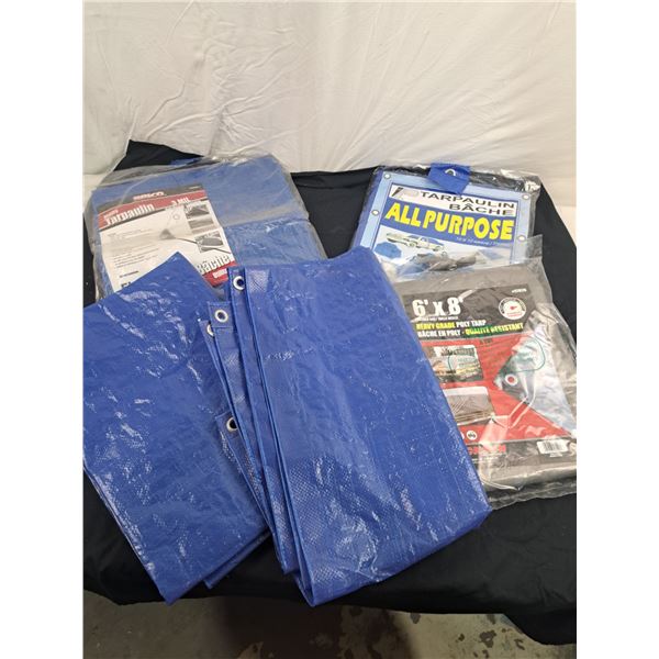 Assorted Tarpaulins