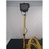 Image 2 : Construction Lights and Extension Cords