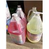 Image 1 : Lot of 5 x 3.79L Jugs Sanitizing Cleaner