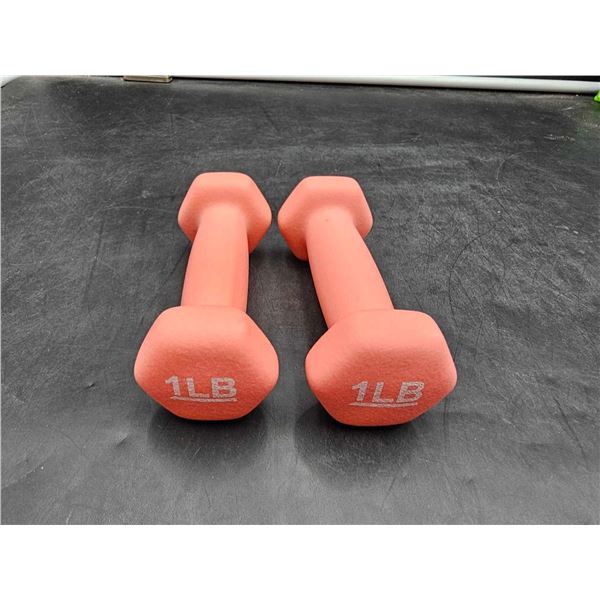 1lb Weights
