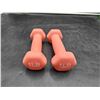 Image 1 : 1lb Weights