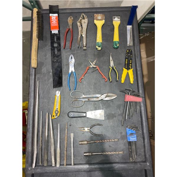 Assorted Lot of Pliers, Grips, Punches and Hex Key Sets