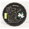 Image 1 : VINTAGE MINNESOTA METAL BAR PLATE, BARWARE