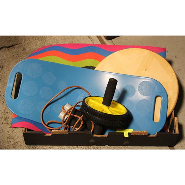 SIMPLY FIT EXERCISE LOT