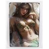 Image 1 : NEW ELFISH PRINCE METAL WALL SIGN