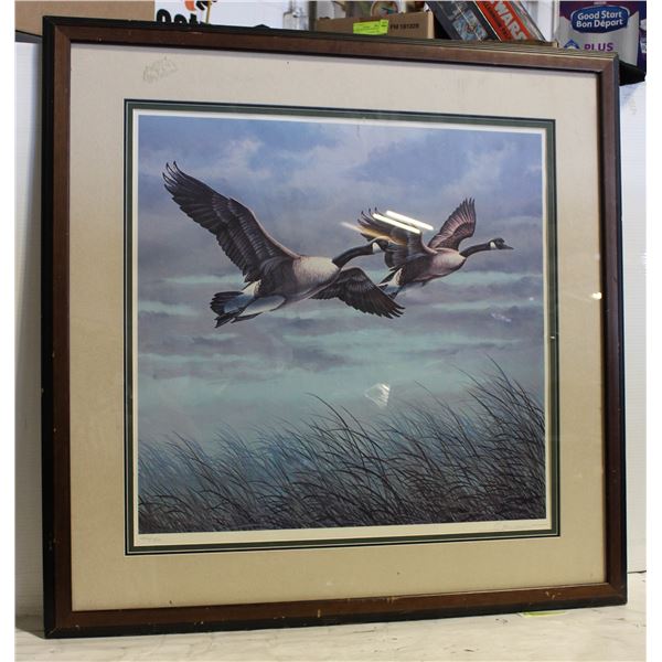 PICTURE WITH TWO GEESE FLYING WITH