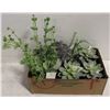 Image 1 : BUNDLE OF NEW ARTIFICIAL POTTED PLANTS