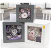 Image 1 : LOT OF 3 ASSORTED FLORAL SHADOW BOXES