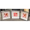Image 1 : SHOW ROOM 3PC FLORAL PICTURE SET