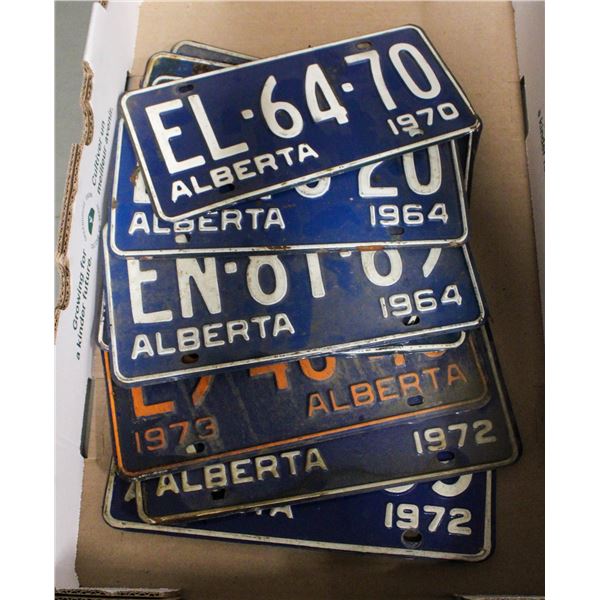 FLAT OF OLD LICENSE PLATES