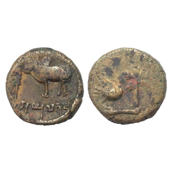 Ancient Saketa region - monarchical die-struck coinage of Ayodhya area, copper coin of Ayumitra (c.2
