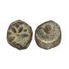 Image 1 : Aulikaras of Malwa, Mandsaur region, Central India, Lead Unit, 9.53Grms