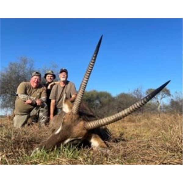 Giant African Safaris - 2 Hunters 5-days (Impala, Blesbuck, Duiker, Steenbuck) - 36 mos
