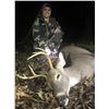 Image 1 : Safari Unlimited - Missouri Archery Whitetail Hunt for 2 -  2025 Sept-Nov
