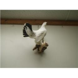 Stuffed Ptarmigan on wood perch   (270)