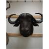 Image 1 : Cape Buffalo: From top of neck to bottom of neck is 37in.  Horns are  38 inches   (3)