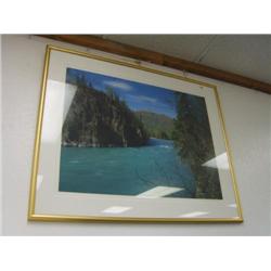 Myron Rosenberg photo 46 of 5000 (270)