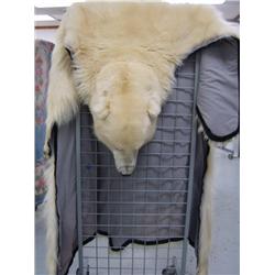 Polar Bear rug 9foot 1 inch from the tip of nose to tip of claw (5)