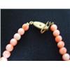 Image 2 : Coral necklace 14in (266)