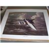 Image 1 : Lot of 6 shrink wrapped prints, bird of prey, charles kudus signed print (700)