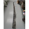 Image 1 : Piece of baleen  8ft in length  (270)